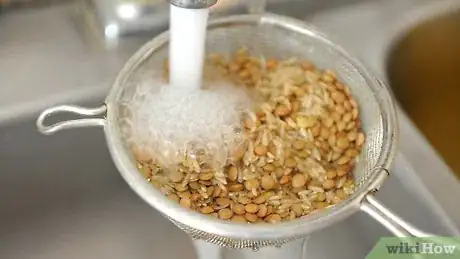 Imagen titulada Cook Brown Rice and Lentils Together in a Rice Cooker Step 1