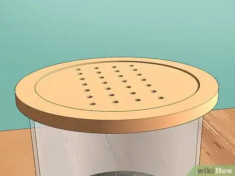 Imagen titulada Look After a Pet Woodlouse Step 4