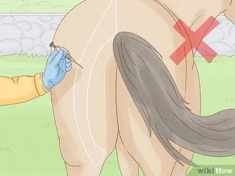 Imagen titulada Give a Horse an Injection Step 15