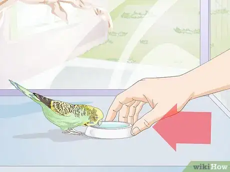 Imagen titulada Feed Budgies Step 13