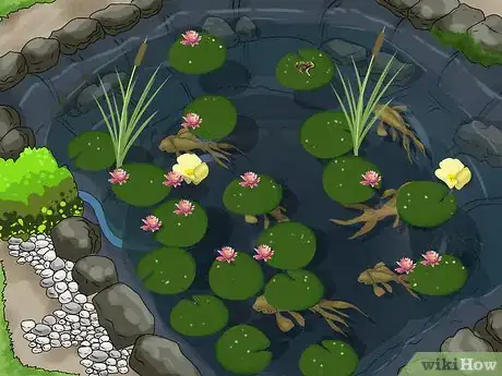 Imagen titulada Make a Pond Step 16