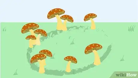 Imagen titulada Kill Mushrooms Step 12