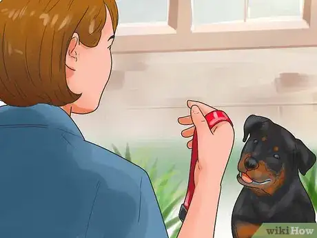 Imagen titulada Train a Rottweiler Step 5