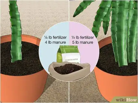 Imagen titulada Fertilize Dragon Fruit Step 4