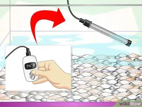 Imagen titulada Fix Cloudy Aquarium Water Step 7