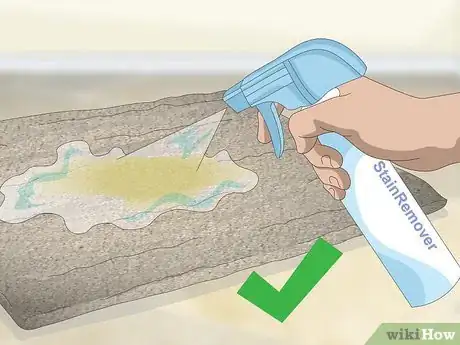 Imagen titulada Remove Old Dog Urine Stains Step 14