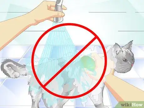 Imagen titulada Get Rid of Cat Dandruff Step 7