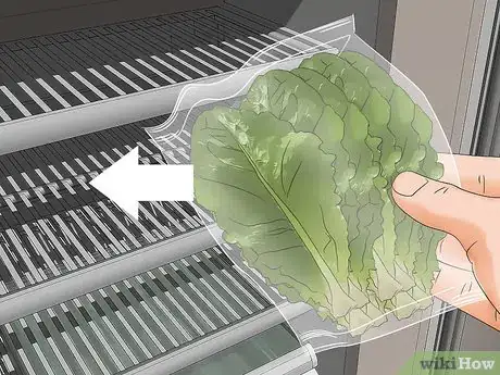 Imagen titulada Harvest Romaine Lettuce Step 11