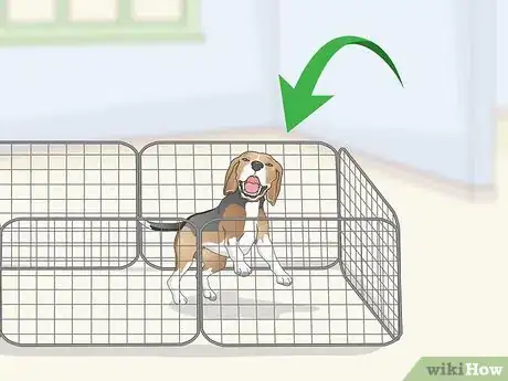 Imagen titulada Train Your Beagle Step 8