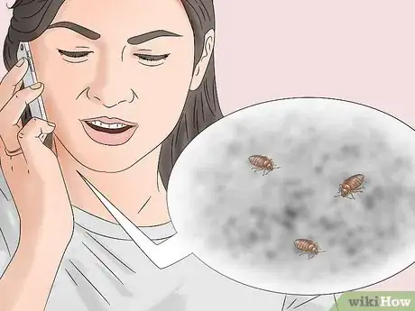 Imagen titulada Get Rid of Bed Bugs Step 1