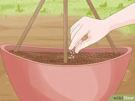 Imagen titulada Grow Cucumbers in Pots Step 10