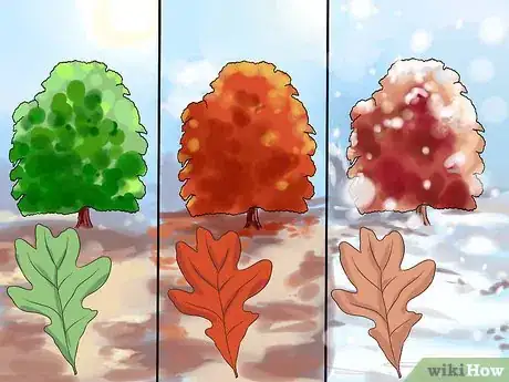 Imagen titulada Identify Oak Trees Step 5