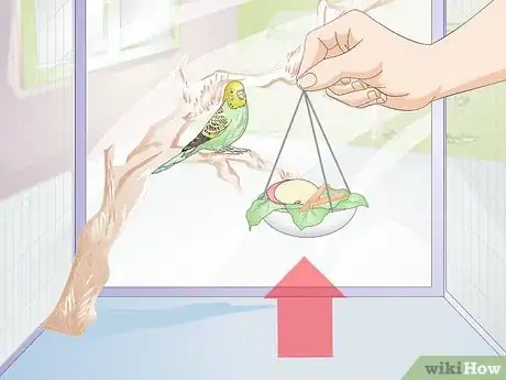 Imagen titulada Feed Budgies Step 11