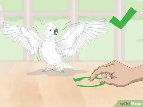 Imagen titulada Deal with an Aggressive Cockatoo Step 13