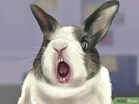 Imagen titulada Tell if Your Rabbit Is in Pain Step 3