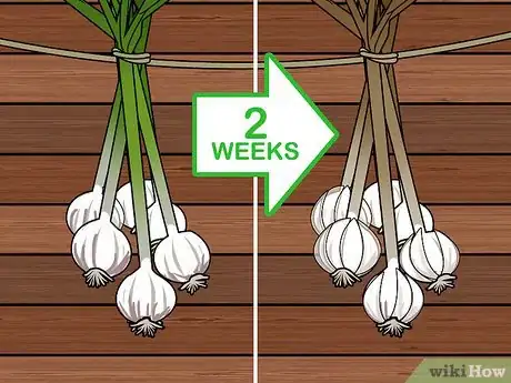 Imagen titulada Braid Garlic Step 11