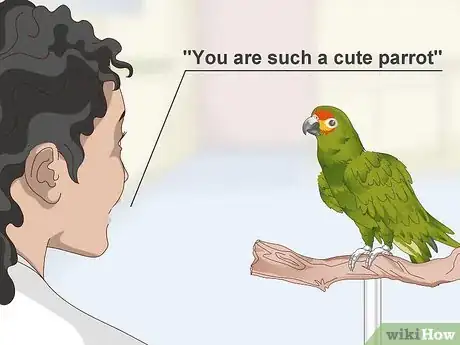 Imagen titulada Deal with an Aggressive Amazon Parrot Step 12