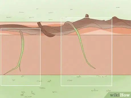 Imagen titulada Prune Grape Vines Step 21