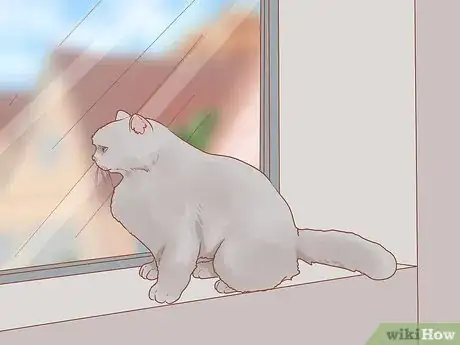 Imagen titulada Stop a Cat from Scratching the Door Step 11