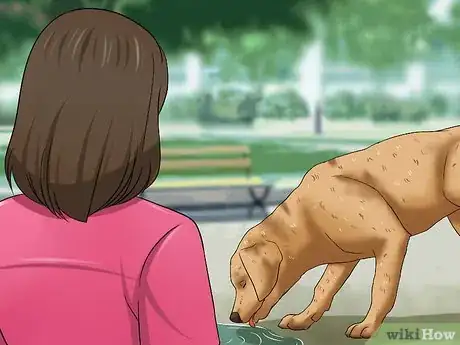 Imagen titulada Determine if a Dog Is Dehydrated Step 1