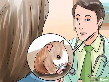 Imagen titulada Groom a Hamster Step 14