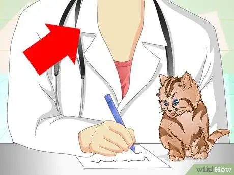 Imagen titulada Get a Sick Kitten to Eat Step 3