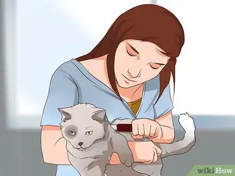 Imagen titulada Prevent Cat Allergies Step 13