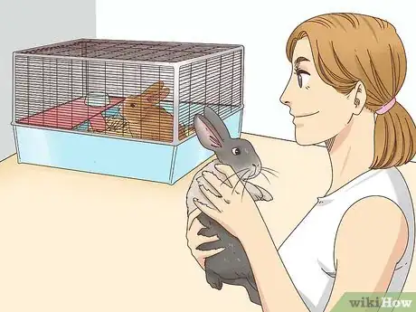 Imagen titulada Let Your Rabbit Run Loose in Your Home Step 10