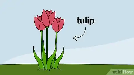 Imagen titulada Plant Flower Bulbs Step 4