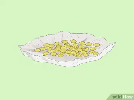 Imagen titulada Save Spaghetti Squash Seeds Step 12