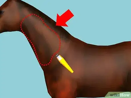 Imagen titulada Clip Your Horse Step 15