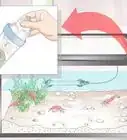 hacer un acuario para camarones