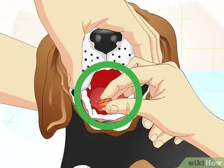 Imagen titulada Get Your Dog to Take His Medicine Step 3