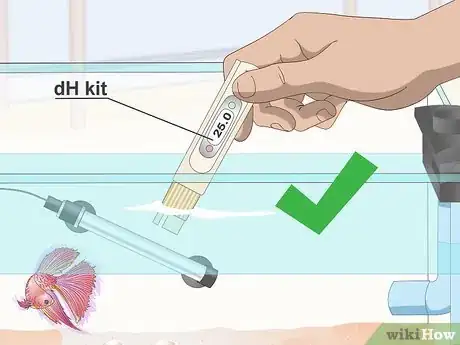 Imagen titulada Prevent and Treat Popeye in Betta Fish Step 5