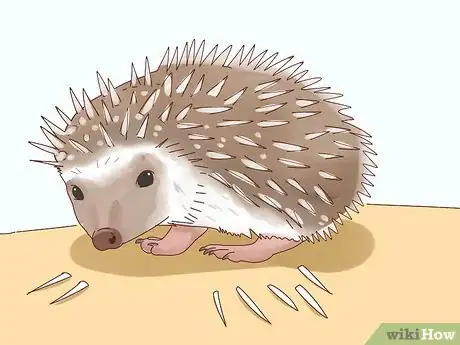 Imagen titulada Take Care of a Hedgehog Step 26