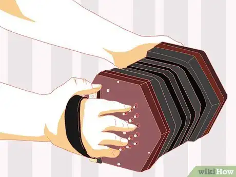 Imagen titulada Play the Concertina Step 5