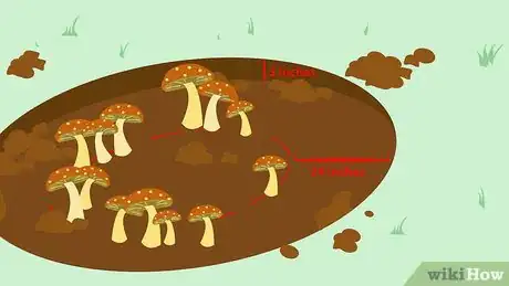 Imagen titulada Kill Mushrooms Step 15