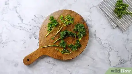 Imagen titulada Preserve Fresh Parsley Step 10