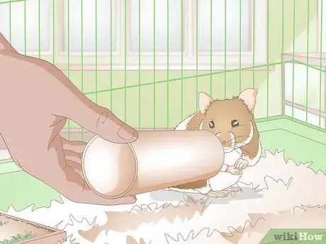 Imagen titulada Make Hamster Chew Sticks Step 15