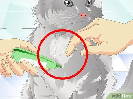 Imagen titulada Get Rid of Cat Dandruff Step 8