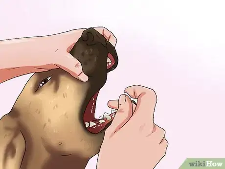 Imagen titulada Get Your Dog to Swallow a Pill Step 15