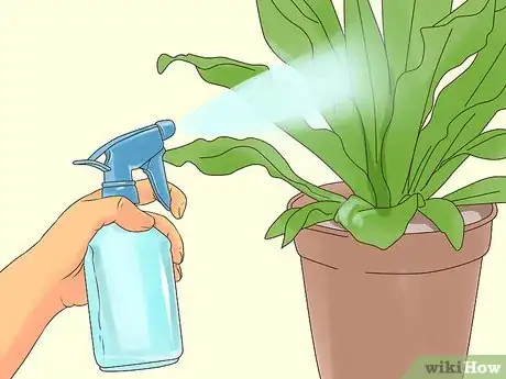 Imagen titulada Make Organic Pesticide Step 13