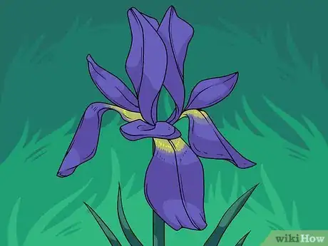 Imagen titulada Draw Flowers Step 37