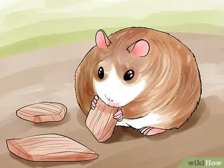 Imagen titulada Groom a Hamster Step 12