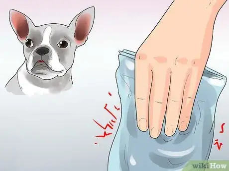 Imagen titulada Rehabilitate an Overly Shy Dog Step 9