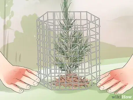 Imagen titulada Plant Cedar Trees Step 19