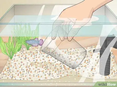 Imagen titulada Clean a Betta Fish Tank Step 11