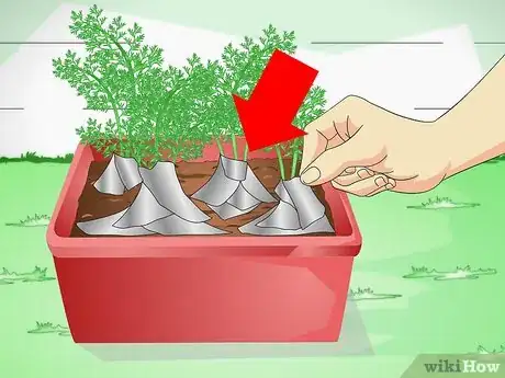 Imagen titulada Keep a Cat out of Potted Plants Step 4