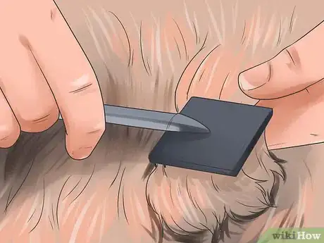 Imagen titulada Brush Mats out of Dog Hair Step 7