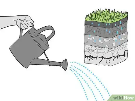 Imagen titulada Water Your Lawn Efficiently Step 4